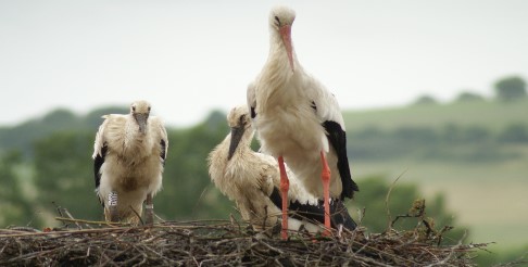 Vie Associative & Sportive